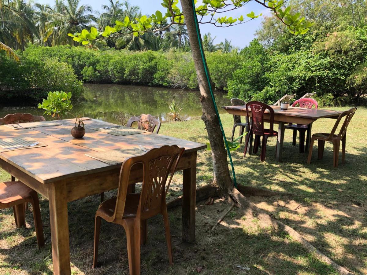 Kite House Cafe Bed and Breakfast Kalpitiya Exterior foto