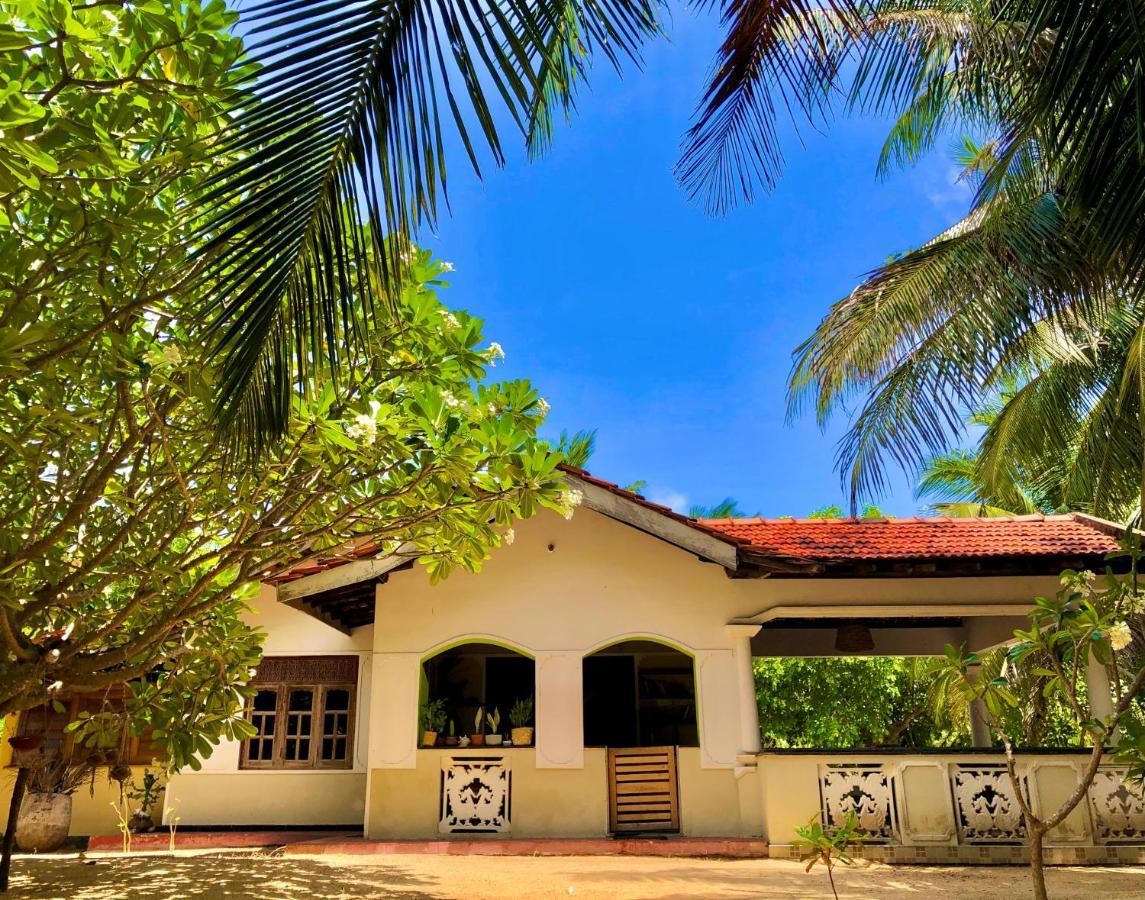Kite House Cafe Bed and Breakfast Kalpitiya Exterior foto